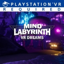 Mind.Labyrinth.VR.Dreams